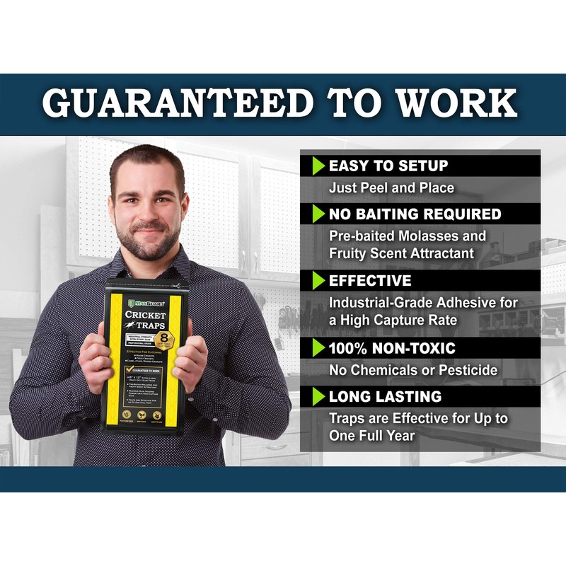 MaxGuard Extra Large Cricket Traps (8 Traps) | Non-Toxic Extra
