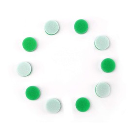 Maxshine 10 Pieces MN01 Mini Polisher and Accessories - 26mm (1”) Green Polishing Pads, Great for Small Surface Polishing & Buffing, Ideal for Professional Auto Detailing