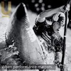 U Perform - Informed Sports Collagen for Fast Muscle Recovery,