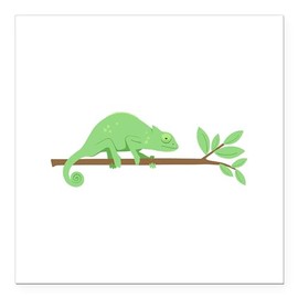 CafePress Chameleon Lizard Square Car Magnet 3 X 3 Square Car Magnet, Magnetic Bumper Display