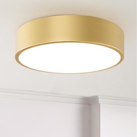 DOTCN Modern Gold Flush Mount Ceiling Light, 12 inch 2-Light Modern Round Close to Ceiling Lighting Fixtures, Minimalist Ceiling Lamp for Foyer,Hallway,Kitchen Island,Bedroom,Laundry,Bathroom