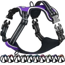 VIVAGLORY Easefit No Pull Dog Harness with Handle & Front Clip, No Pull & Heavy Duty for Puppy Pet, Dog Harness for Training & Walking, XS, Purple
