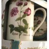 Kent Pottery 2PC Mug With Matching Lid - Rosa Indica