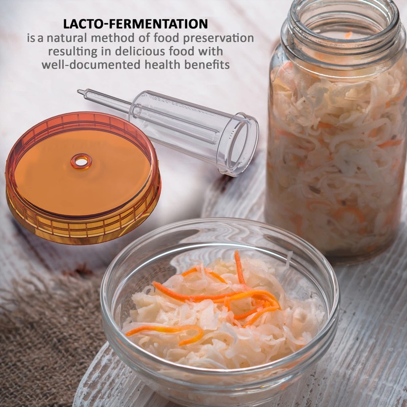 Fermentation Lids | 4-Pack | Multi-Colored | Year of Plenty
