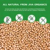 Jiva Organic Raw Chickpeas (Whole Garbanzo Beans) 4 LB Large