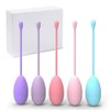 Pelvic Floor Training Balls - Vaginal Balls (Set of 5)