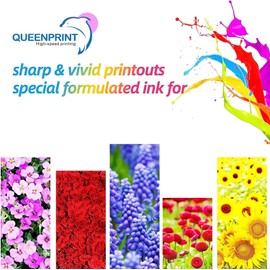 61XL 61 XL Ink Cartridge Combo Pack High Yield Replacement for HP 61 Ink Works with HP Envy 4500 5530 5534 4502 Deskjet 1000 1010 2540 3000 3510 Officejet 4630 Printer(2 Pack)