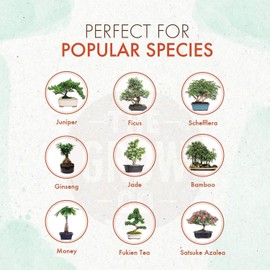 Bonsai Fertilizer - Gentle Slow Release Plant Food Pellets - Ideal for All Indoor and Outdoor Bonsai Tree Plants in Pots (5 oz)