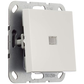 Gira System 55 283403 Rocker Switch 2-Pole Control 20 A Pure White