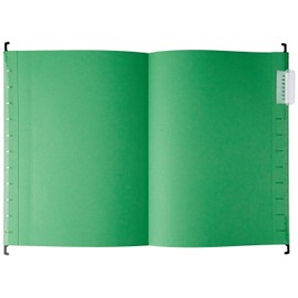 Esselte Pendaflex A4 V Bottom Suspension Files with 4 Tab Divider Book - Blue (Box of 10) A4