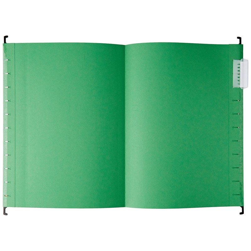 Esselte Pendaflex A4 V Bottom Suspension Files with 4 Tab