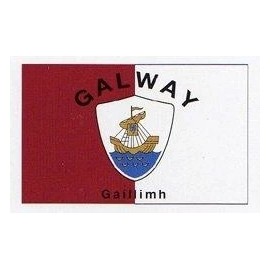 Generic GALWAY IRELAND COUNTY 3'x5' FLAG