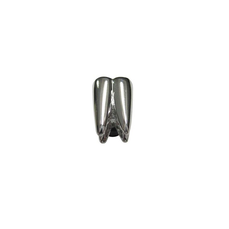 Kiola Designs Silver Toned Shiny Dental Tooth Teeth Magnet