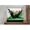 LANDEN Landen 45P 10 Gallon Rimless Low Iron Aquarium Fish