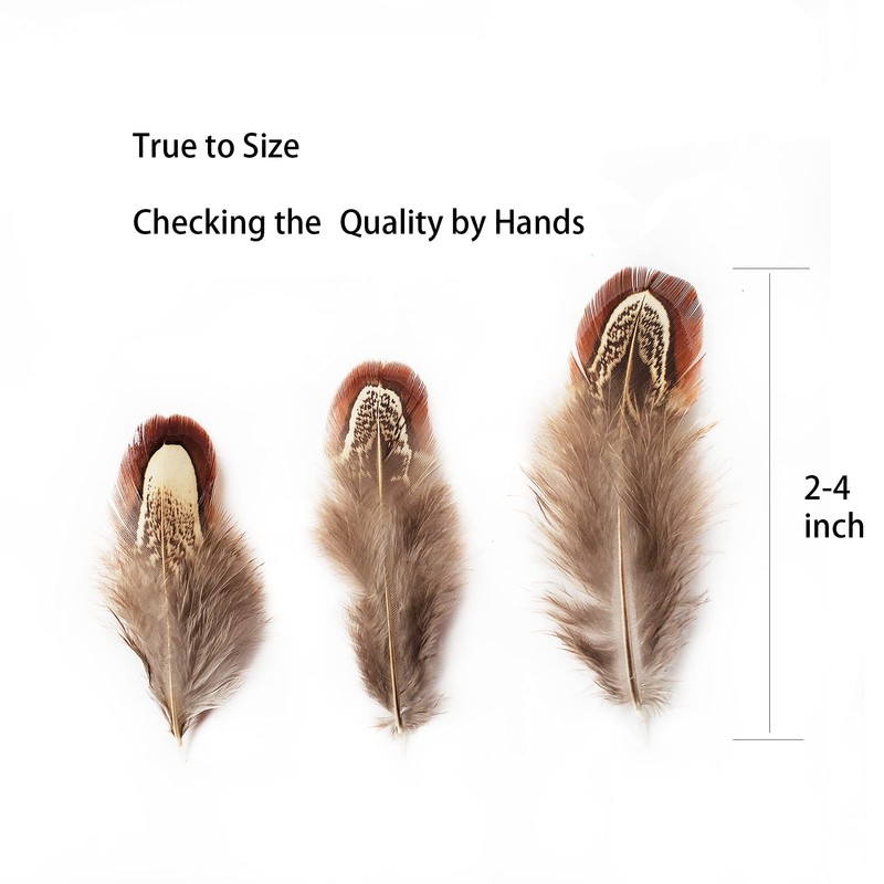 100 pcs Natural Pheasant Plumage Feathers 2-3 Inches Plumage Feathers