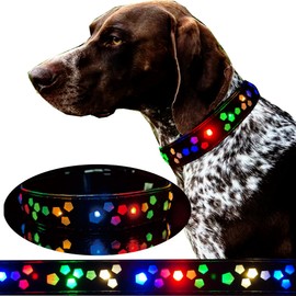 CC SIMON Dog Collar USB C Rechargeable LED Light Up Dog Collar Adjustable Soft Silicone Collar for Medium Large Dogs (BLACK, M(11.8-15.7"))