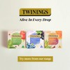 Twinings Raspberry & Lemon Tea Bags, 20 each