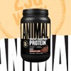 Animal Animal Whey Isolate Protein Powder - Loaded for Pre