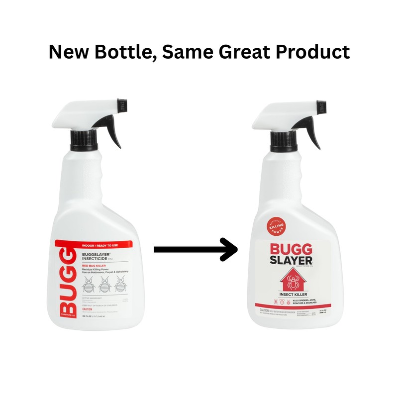 BUGGSLAYER Insecticide RTU Indoor Insect Killer - Kills Spiders, Ants,