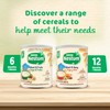 Nestle Nestum Infant Cereal Wheat and Fruits, 9.5 Ounce (Pack