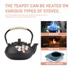 Cast Iron Teapot,SECHUDO Tea Kettle,Japanese Cast Iron Teapot with Stainless