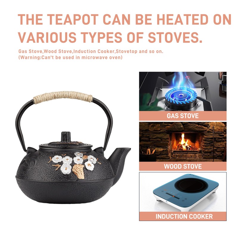 Cast Iron Teapot,SECHUDO Tea Kettle,Japanese Cast Iron Teapot with Stainless