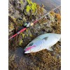 FLOWFUL WORKS Noid 21g (N003 Pink)