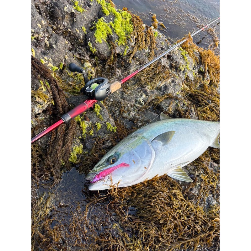 FLOWFUL WORKS Noid 21g (N003 Pink)