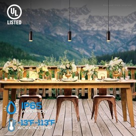 LEONLITE Low Voltage Hanging Landscape Lights, 12V Hanging Tree Lights, UL Listed, LED Outdoor Pendant Light for Gazebo, Pergola, Garden, Aluminum, IP65, 2700K Soft White, Oil Rubbed Bronze, Pack of 4