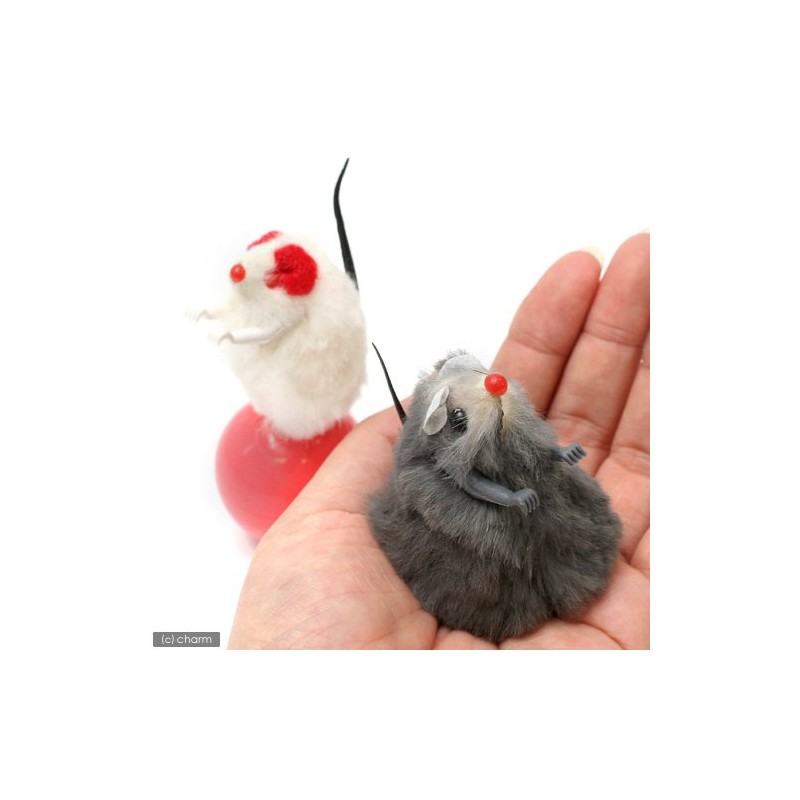 Doggy Man Jare-Cat Nyanchu Punch, Pack of 2