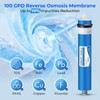 iSpring Greatwell Reverse Osmosis Membrane 100 GPD 11.75” X 1.75”,
