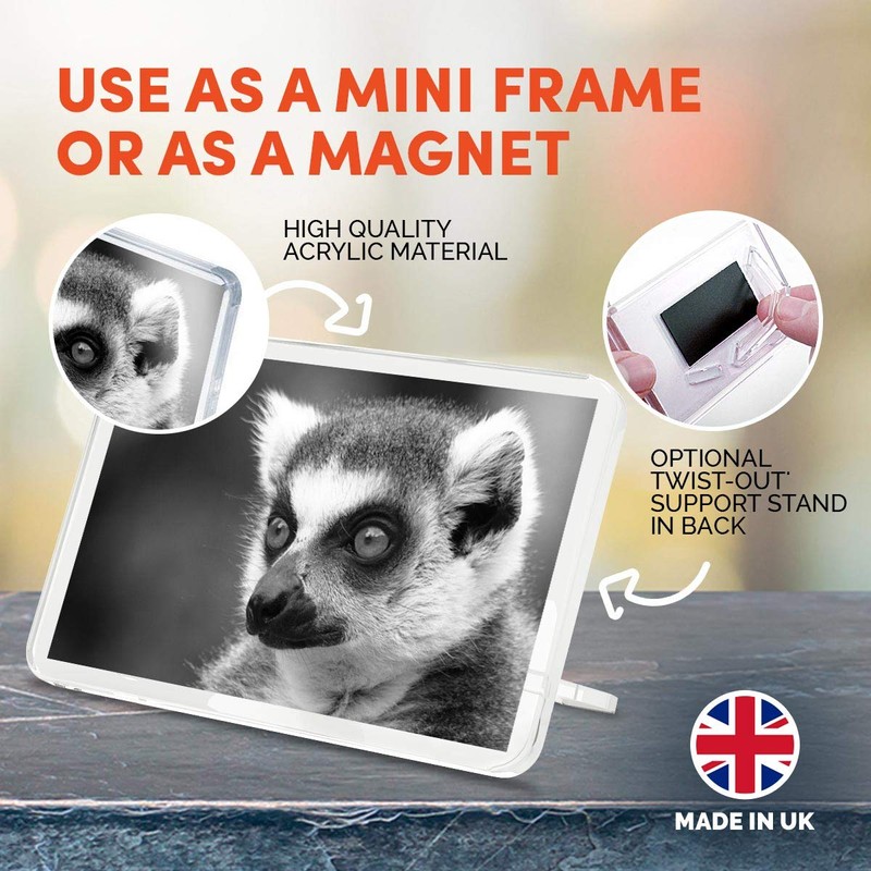 1 x Fridge Magnet - Lemur Monkey Head Wildlife #36738