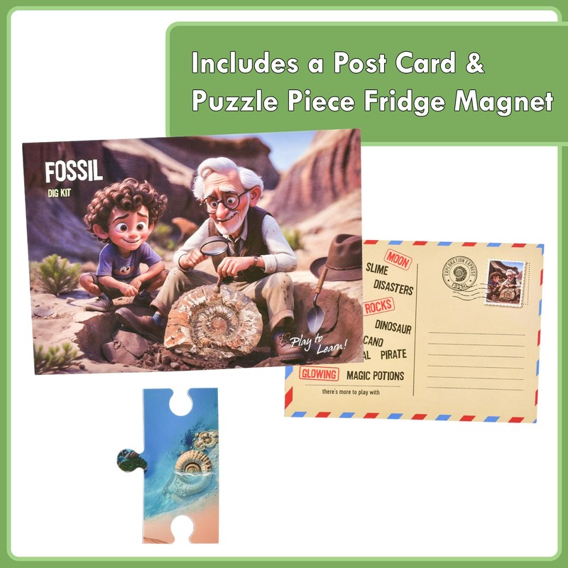 KandyToys Fossil Dig Kit | Science Kit