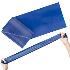 D&amp;M Thera Band セラバンド 12.5cm×2m ブルーカラー