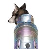 Canada Pooch Iridescent Shiny Puffer Vest for Dogs, 3X-Small