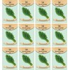 Set of 12 Dill Vegetable Seed Packs - Create a