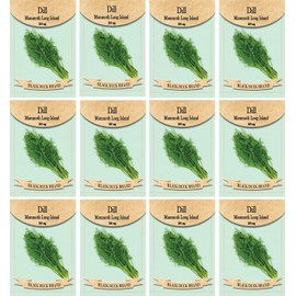 Set of 12 Dill Vegetable Seed Packs - Create a Deluxe Garden - All Seeds are Heirloom - 100% Non-GMO (Dill)