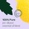 Plant Therapy Quiet Cough KidSafe Pre-Diluted Essential Oil Roll-on 10