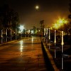 2PCS Solar Power Lights 25LED Spike Light for Outdoor Lawn