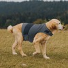 Dog Anxiety Shirt, Jacket Stress Relief Coat, Adjustable Vest for