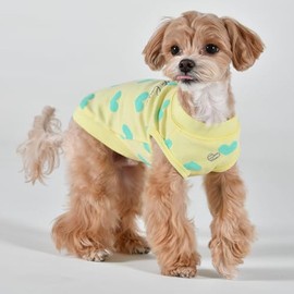 Pinkaholic New York Spring/Summer Sonata of Love Dog Shirt Trendy Fashionable Cute Dog Apparel, Yellow, Small