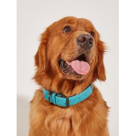 Vilichi Genuine Leather Dog Collar for Medium Dogs, Heavy Duty Adjustable Collar 0.78" Width, Rustproof Buckle & Padded Lining for Comfort (Sky Blue, M-Width 0.78")