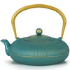 Jotsport Green Cast Iron Teapot Large Capacity 40oz/1200ml with Infuser