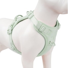 Sunraymascota No Pull Dog Harness, Puppy Vest with Front Clip for Small Medium Large Sized Dog(Light Green,S)