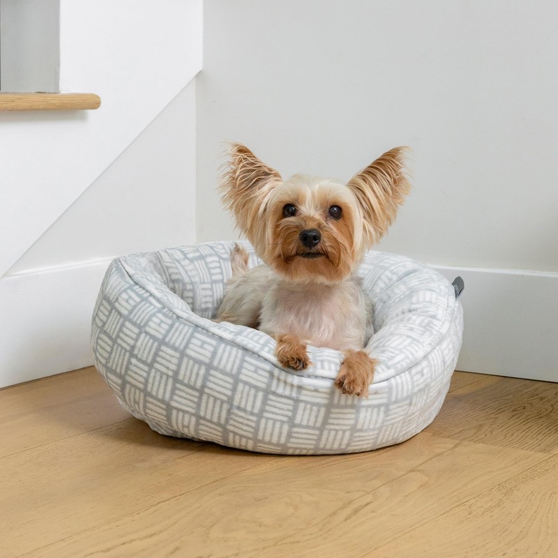 Fringe Studio "Handdrawn Bookliner Gray Small Circle Microplush Pet Bed