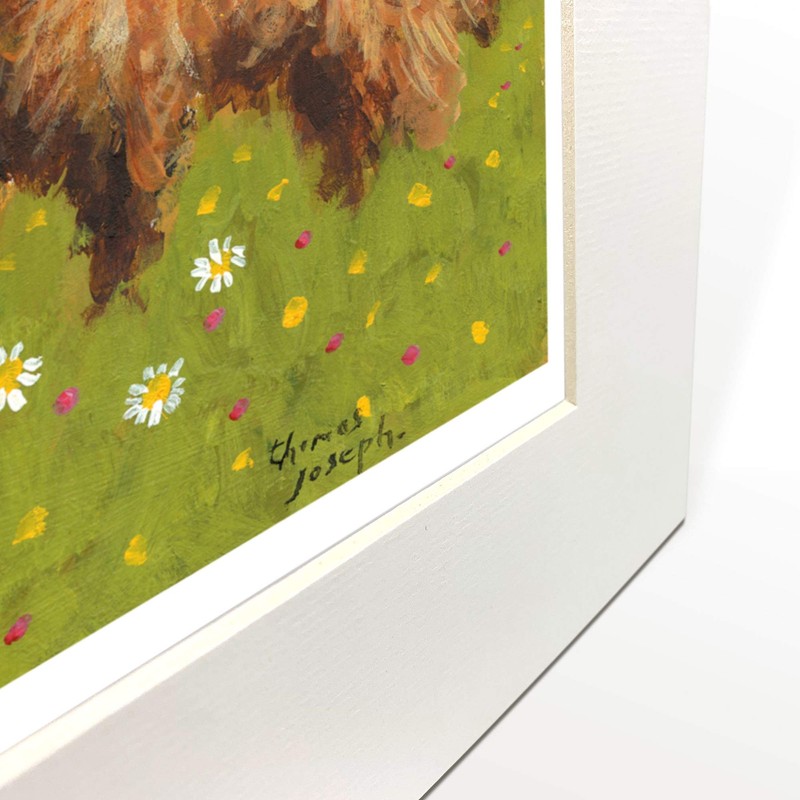 'We're Daft But We Love Ewe' Mounted Print by Thomas