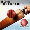 Eagle Pride Premium Hand-Stitched Leather Cricket Balls for Club, Practice,