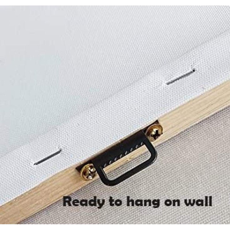 Swing Check Valve, Brass, 1-1/4 in, FNPT