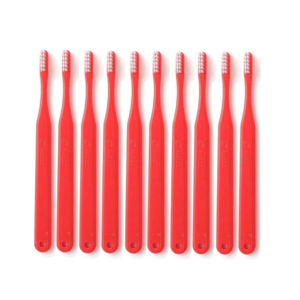 Dental for Stains 12 m Pack of 25 [Toothbrush] [Normal] Correction for patients _ Red