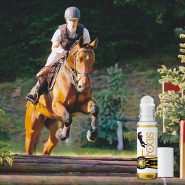 The Blissful Horses Focus Roll On Horse Aromatherapy All Natural Support for Concentration